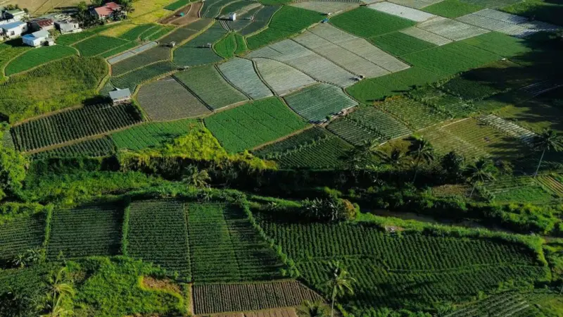 Hyderabad plots auction sees record bids, prices hit Rs 1.76 lakh per sq yard