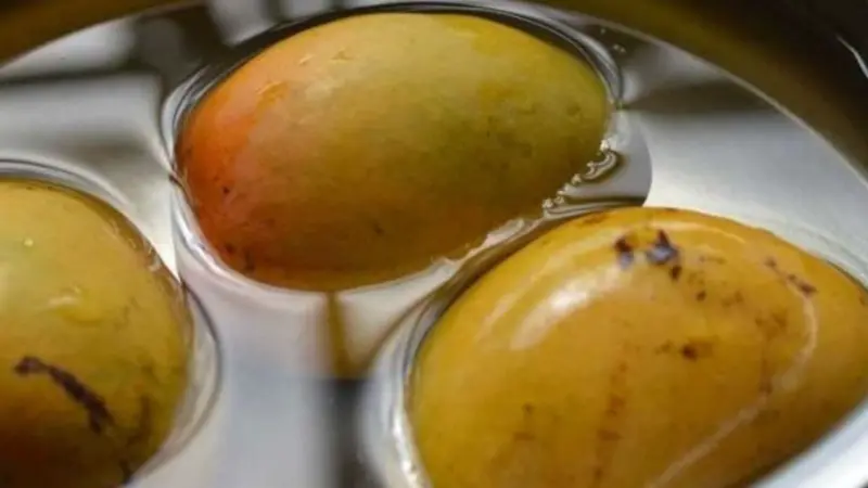 மாம்பழத்தை அப்படியே சாப்பிடுறீங்களா? நில்லுங்க! இதை படிச்சிட்டு சாப்பிடுங்க!