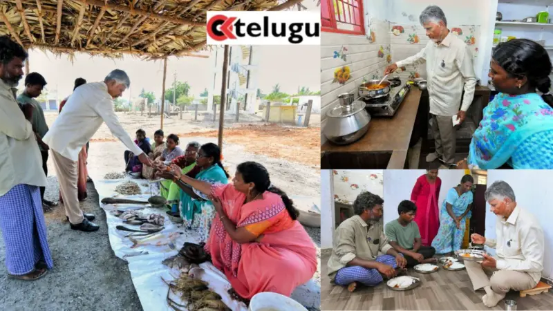 చంద్రబాబు గరిట తిప్పారు.. ఫేమస్ నెల్లూరు చేపల కూర వండారు..