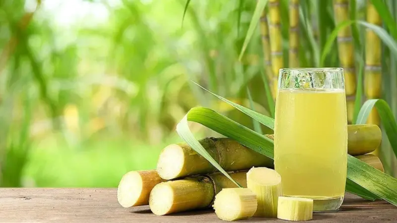 Sugarcane Juice Isn't for Everyone: 6 People Who Should Avoid It