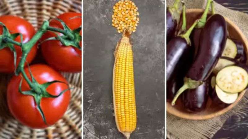 Vegetables That Are Actually Fruits: 7 Common Foods You Didn't Know Are Fruits