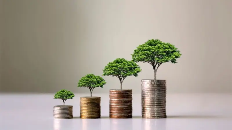 Personal loan interest rates March 2026: Comparison of top banks, fees and 5 key things to check before you apply