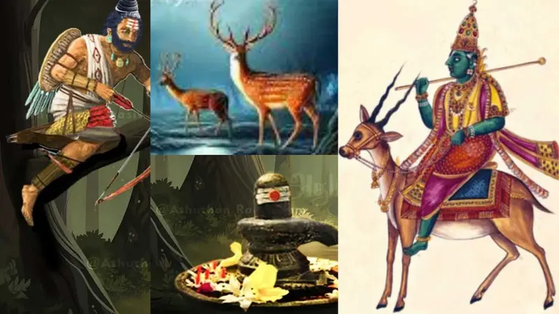 மான் மிருகசீரிஷம் நட்சத்திரமானது எப்படித் தெரியுமா?