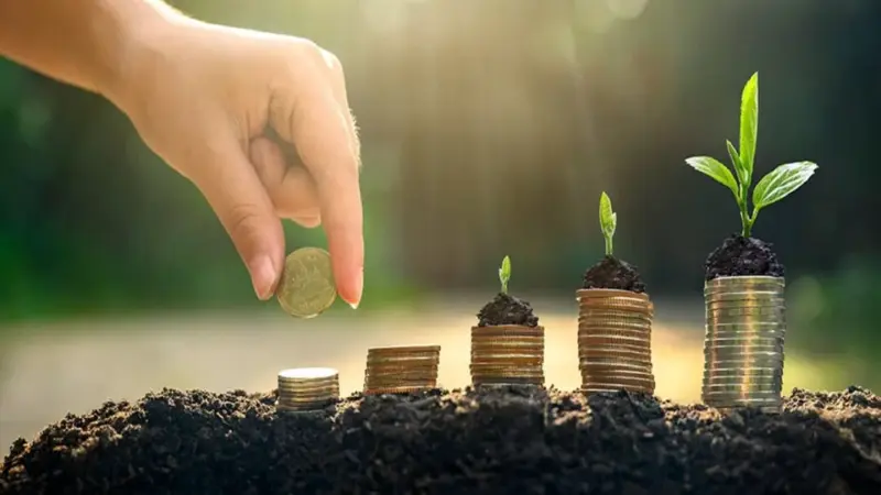 Latest FD rates: Top 5 Small Finance Banks of India offer up to 8.10% fixed deposit interest rates - Check inside