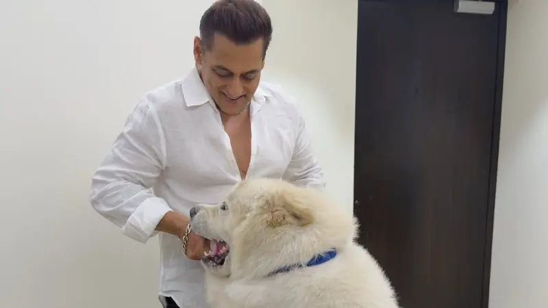'My Sukh': Salman Khan shares new pictures with pet dog, fans react