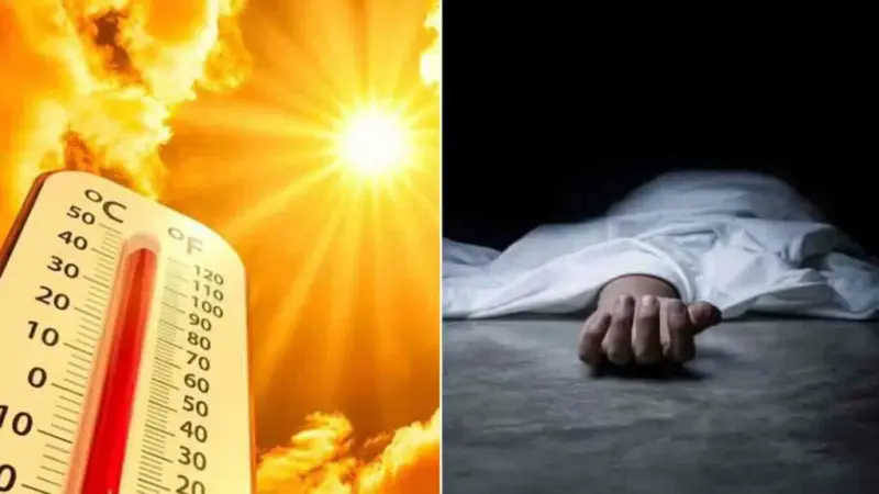 వడదెబ్బతో ఒకేరోజు 9 మంది మృతి