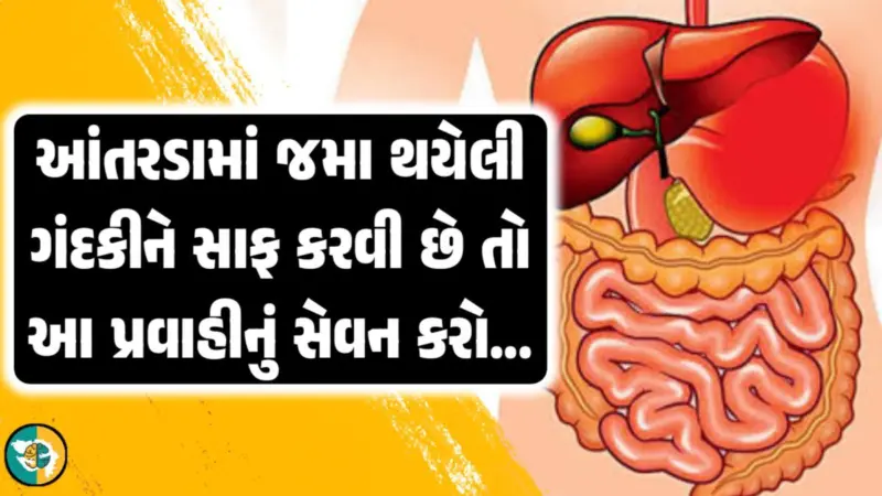જો તમે આંતરડામાં જમા થયેલી ગંદકીથી પરેશાન છો, તો આ પ્રવાહી પીવાથી તમારું પેટ સંપૂર્ણપણે સાફ થઈ જશે.