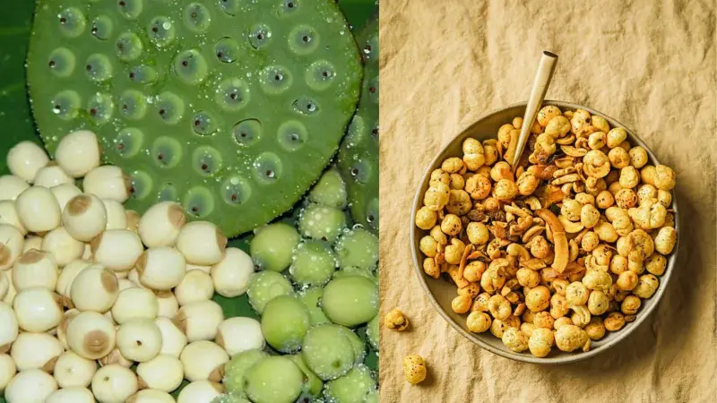 உங்கள் நிலத்தை 'பச்சை பொன்' நிலமாக்க வேண்டுமா? மக்கானா விவசாயத்தின் மாயாஜாலங்கள்!