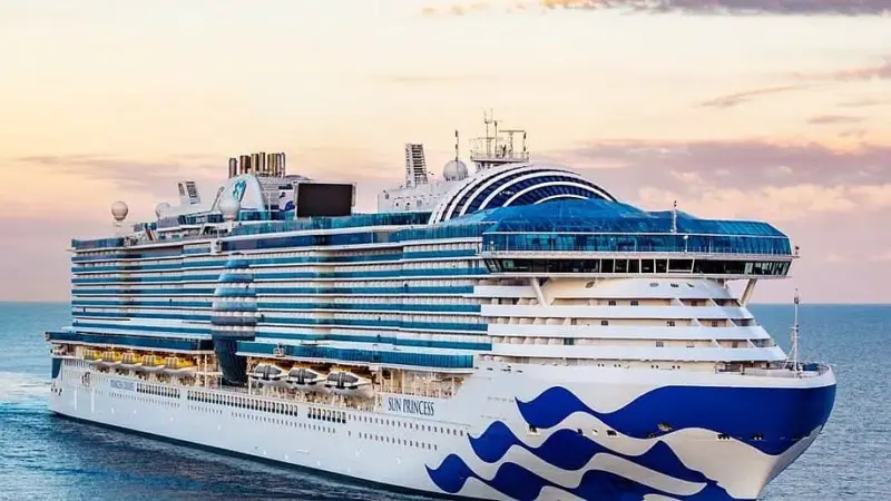 Explained | Hantavirus vs Norovirus: Which cruise ship outbreak is more concerning?