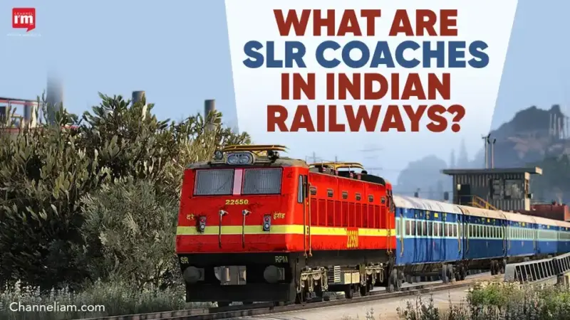 What is an SLR Coach?