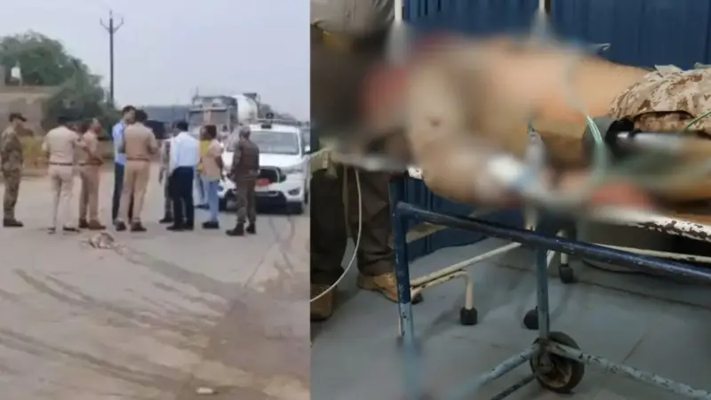 मुरैना में रेत माफिया का आतंक: वन रक्षक को ट्रैक्टर से कुचला, हमला कर आरोपी फरार
