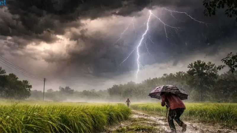 Maharashtra Weather Updates : ऊन- पावसाचा खेळ!! या 7 जिल्ह्यांत विजांचा कडकडाटासह मुसळधार पाऊस