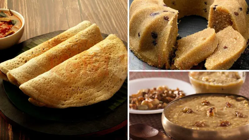 சத்தான கோதுமை ரவை ரெசிபிகள். பல வகையான உணவுப் பயணங்கள்!