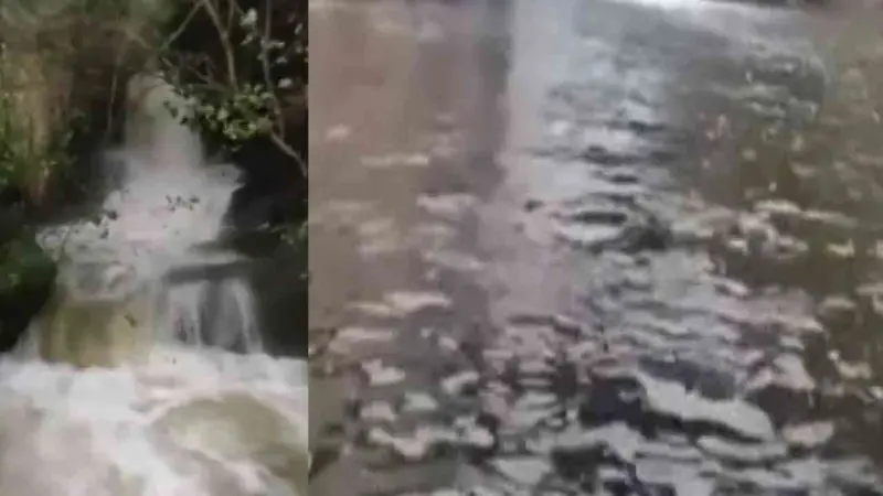 அருவியில் மூழ்கி 3 இளைஞர்கள் உயிரிழப்பு!