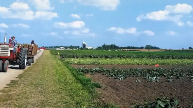 US Government Launches 'OnlyFarms' to Support Farmers Amid Rising Costs