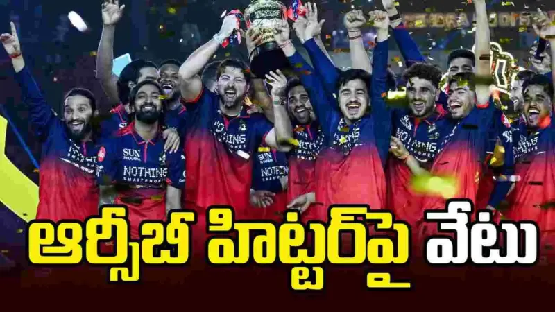 ఆర్సీబీ హిట్టర్ టిమ్ డేవిడ్‌పై సస్పెన్షన్ వేటు