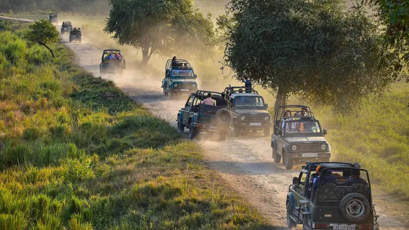 Kaziranga corridor to ensure safe wildlife movement in national park, enhance connectivity