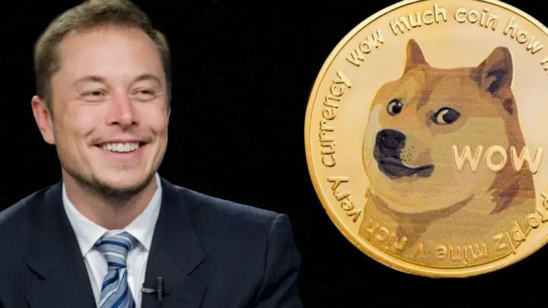 Is This Crypto Tied To Elon Musk's DOGE And Trump-Linked World Liberty Financial?