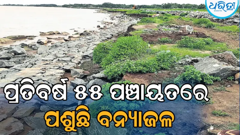 ଅନୁଦାନ ସତ୍ତ୍ୱେ ସୁଦୃଢ଼ ହେଉନି ନଦୀବନ୍ଧ, ଲୋକଙ୍କୁ ଘାରୁଛି କୁମ୍ଭୀର ଭୟ