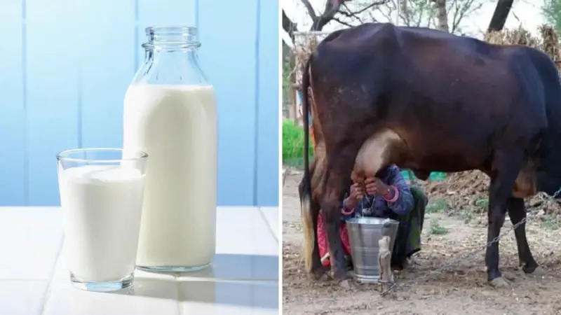 சிலிண்டர் விலை உயர்வைத் தொடர்ந்து பால் விலையும் அதிகரிப்பு!