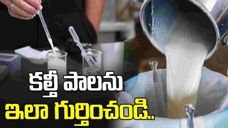 కల్తీ పాలను ఇంట్లోనే గుర్తించండి.. ఇవిగో సింపుల్ చిట్కాలు..