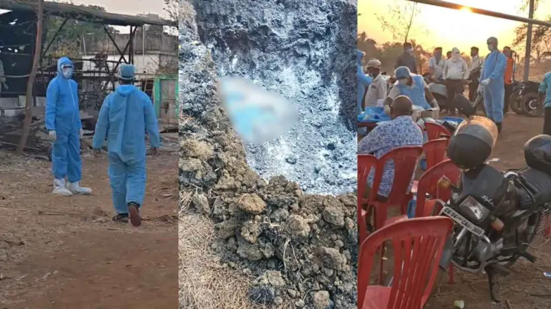 CG News: छत्तीसगढ़ के इस जिले में अफ्रीकन स्वाइन फीवर का कहर, 300 सूअरों की मौत, फार्म सील