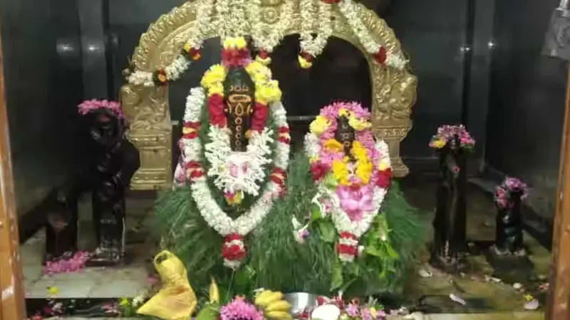 மன அமைதிக்கு வழிகாட்டும், 'காட்டு விநாயகா; வழிகாட்டு நாயகா!'