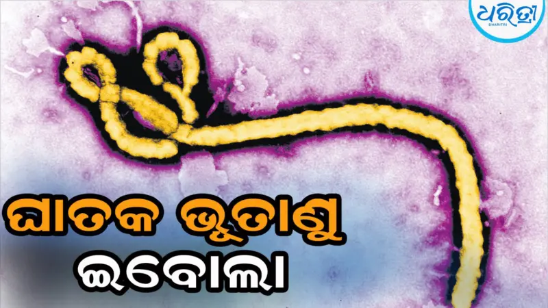 ଘାତକ ଭୂତାଣୁ ଇବୋଲା