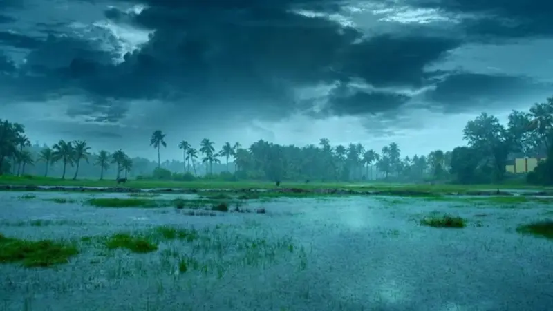 Telangana Rains : తెలంగాణలోకి రుతుపవనాలు వచ్చేస్తున్నాయ్.. నేడు, రేపు ఈ జిల్లాల్లో దంచికొట్టనున్న వానలు.. అలర్ట్ జారీ..