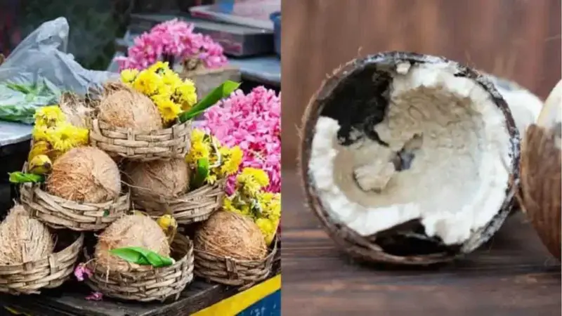 கோயிலில் உடைக்கும் தேங்காய் அழுகி இருப்பது நல்ல சகுனமா? கெட்ட சகுனமா?