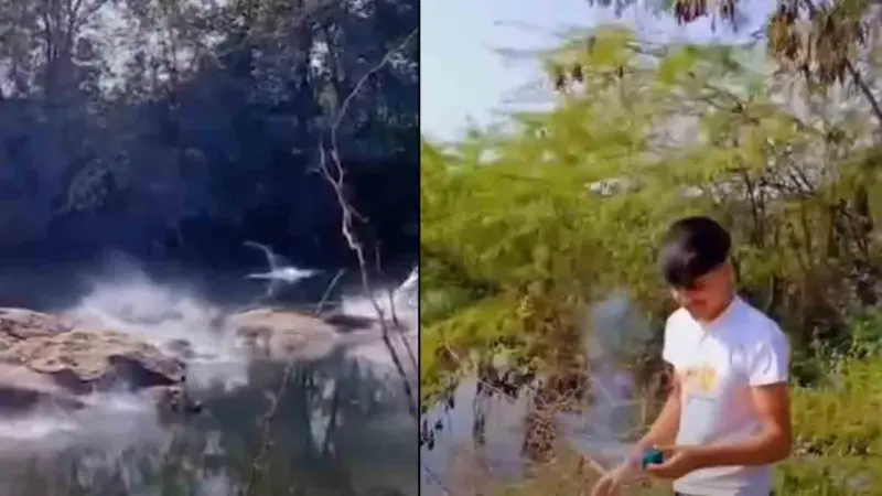 Rajasthan Youth Booked for Throwing Firecrackers at Crocodiles for Social Media Reel