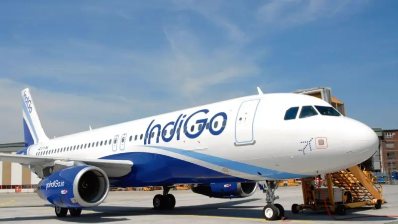 IndiGo Operates With Lowest Pilot-to-Aircraft Ratio Among Indian Airlines | Cliq Latest