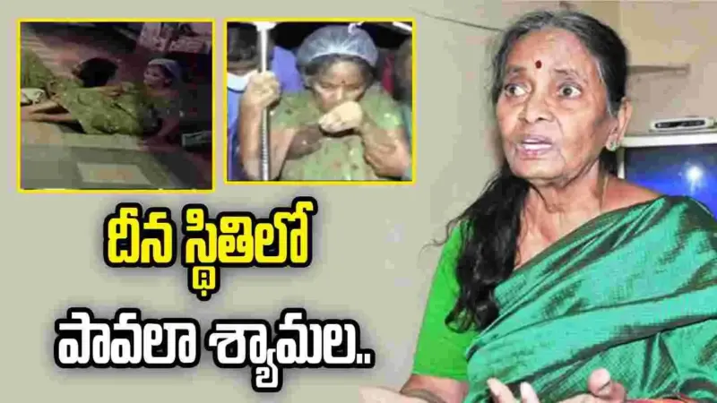 నడిరోడ్డుపై లేడీ కమెడియన్.. అల్లు అర్జున్ ఆర్థిక సాయం ఏమైంది