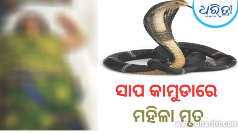 ଶୋଇଥିବା ବେଳେ ମହିଳାଙ୍କୁ କାମୁଡିଦେଲା ସାପ, ତାପରେ....
