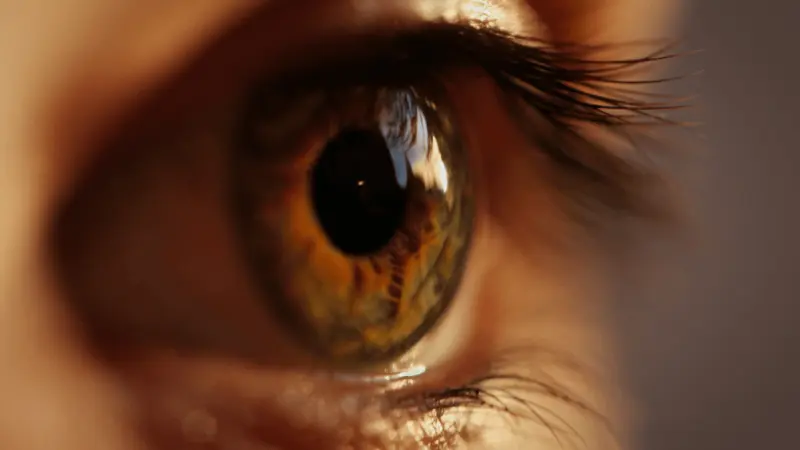 Understanding Xerophthalmia: Causes, Symptoms, And Treatment Options