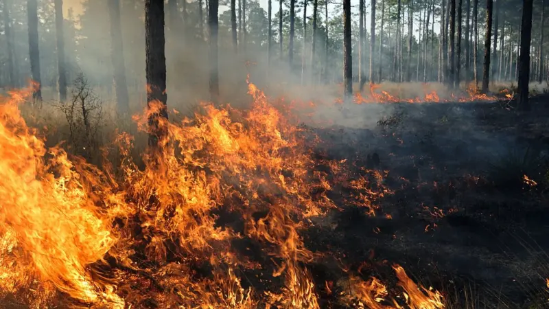 When Winter Burns | Early fire detections signal a tougher season ahead