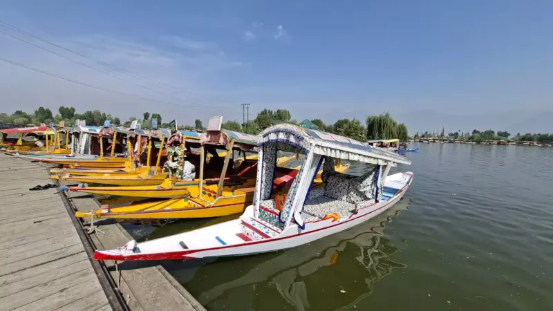Why Kashmir's shikarawallahs are turning their backs on the lakes, taking up gig work