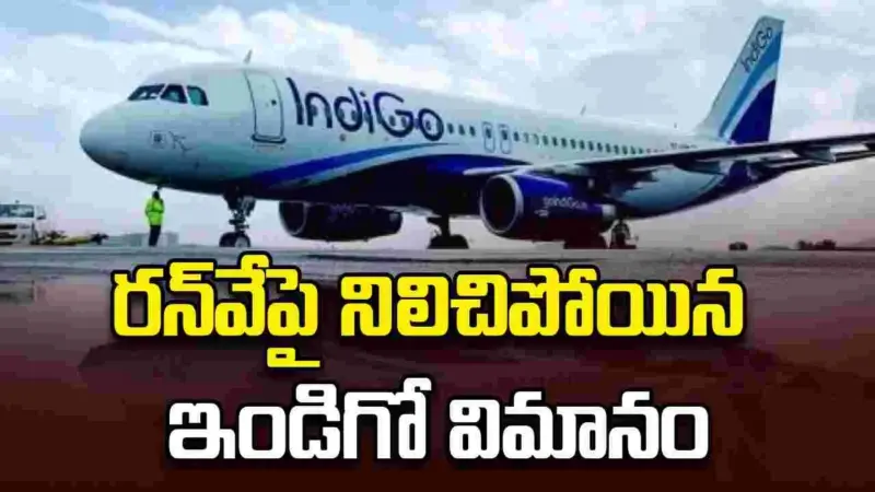 సడన్గా నిలిచిన ఇండిగో విమానం.. ఫ్లైట్లో ఎమ్మెల్యే యార్లగడ్డ