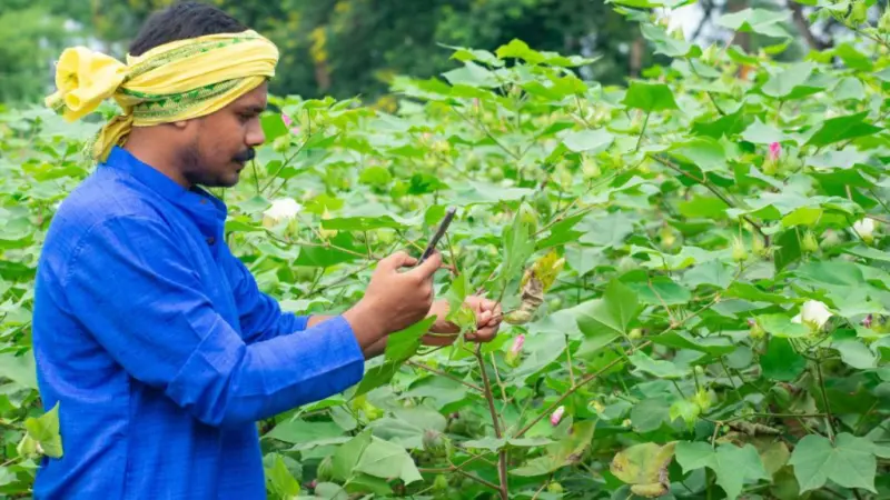 5 हजार एकड़ में स्मार्ट एग्रीकल्चर जोन बनेगा, जैविक उत्पादों को सर्टिफाई करने के लिए लैब खुलेगी