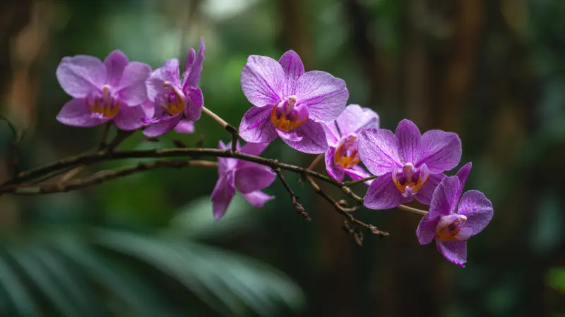 Rare Flowers In India And Where To Find Them
