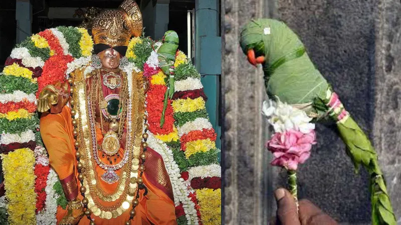 திருமணத் தடையை நீக்கும் அதிசய ஆண்டாள் கிளி பற்றி தெரியுமா?