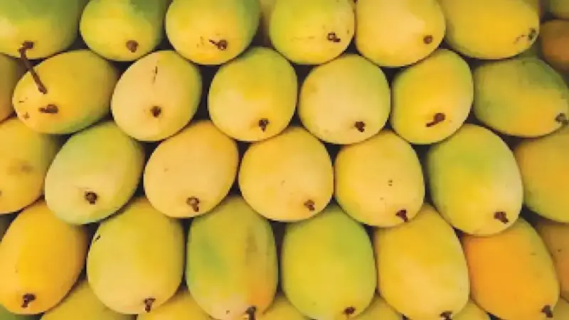Carbide-ripened mangoes pose serious health threat