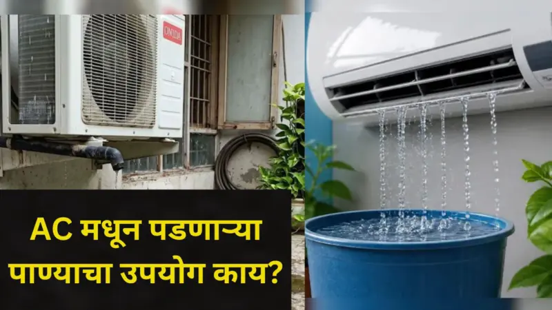 AC Water Benefits: तुम्हीही फेकून देता AC मधून बाहेर पडणारं पाणी? पैसै अन् मेहनतही वाचेल, फक्त 'असा' करा वापर