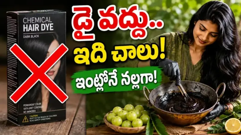 "తెల్ల జుట్టు వచ్చిందని డై వాడుతున్నారా? అయితే ఇది మీకోసమే!"