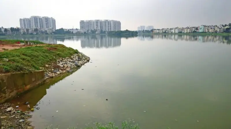 Bengaluru: Chandapura Lake remained polluted for most of 2025