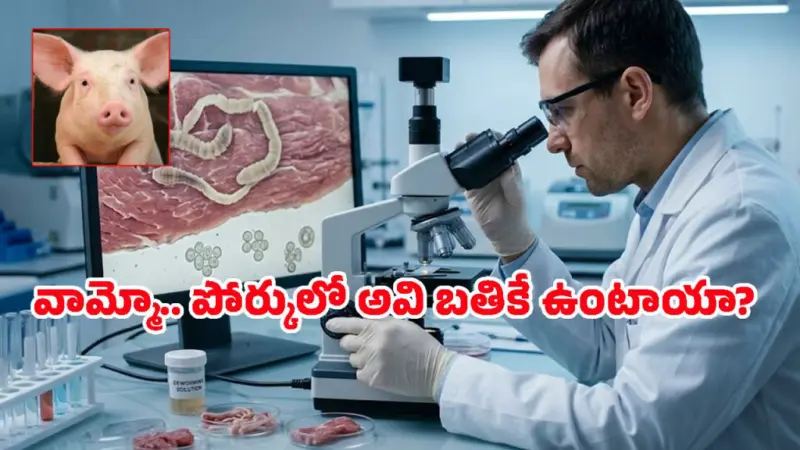 పంది మాంసం తింటున్నారా? దాని జబ్బులన్నీ మీకే.. ఎందుకంటే?