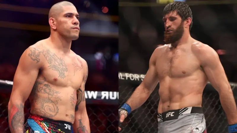 Magomed Ankalaev's wrestling 'is not high level', claims UFC legend amidst Alex Pereira fight drama