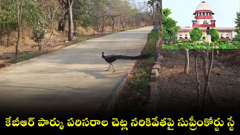 కేబీఆర్ పార్కు పరిసరాల చెట్ల నరికివేతపై సుప్రీంకోర్టు స్టే