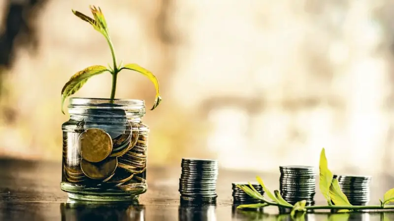 FD vs RD: Investing in bank deposits? Here are key differences between fixed and recurring deposits, and how to use them