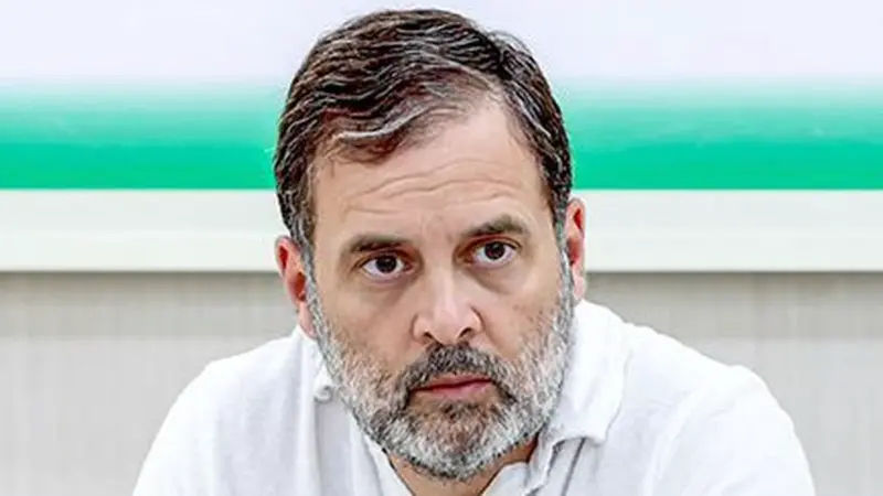 अराजकाच्या प्रतीक्षेतला कावळा.
